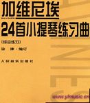 加维尼埃24首小提琴练习曲（综合练习）