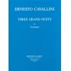 Cavallini 卡瓦里尼：三首大型二重奏--为两部单簧管而作 MR 2148 