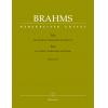Brahms 勃拉姆斯 小提琴、大提琴与钢琴三重奏 op. 101 BA 9437