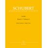 Schubert 舒伯特 艺术歌曲 第9辑（德文、高音用）BA 9109